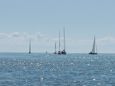 IMG20220611102628